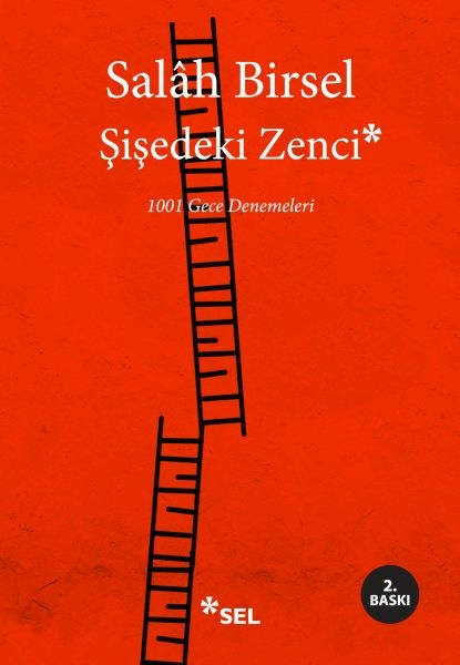 Şişedeki Zenci Salâh Birsel