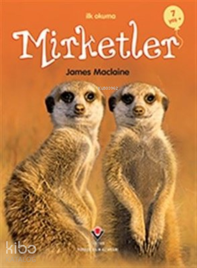 İlk Okuma - Mirketler James Maclaine