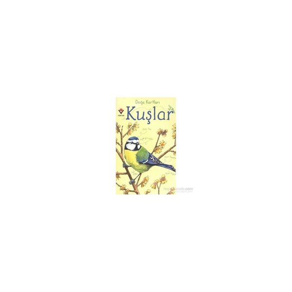 Doğa Kartları - Kuşlar Emily Bon