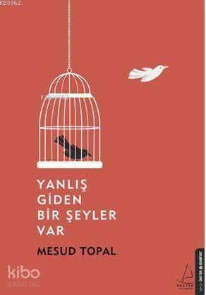 Yanlış Giden Bir Şeyler Var Mesud Topal