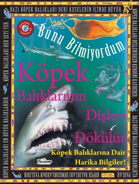 Köpek Balıklarının Dişleri Dökülür - Bunu Bilmiyordum - Köpek Balıklarına Dair Harika Bilgiler! Flowerpot Press