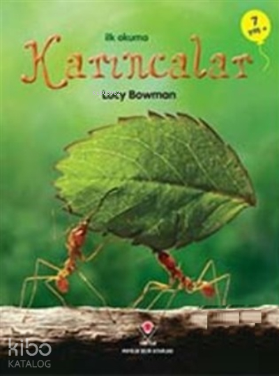 İlk Okuma - Karıncalar Lucy Bowman