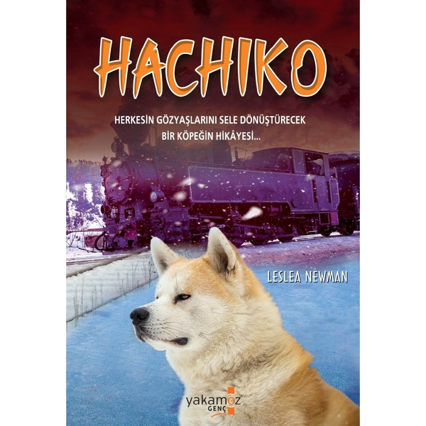 Hachiko; Herkesin Gözyaşlarını Sele Dönüştürecek Bir Köpeğin Hikayesi
