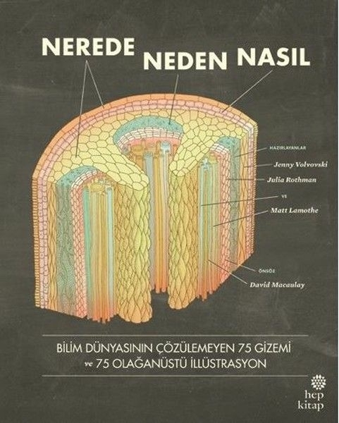Nerede, Neden, Nasıl Jenny Volvovski, Matt Lamothe, Julia Rothman