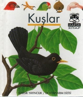 Kuşlar / İlk Kitaplarım Dizisi Kolektif