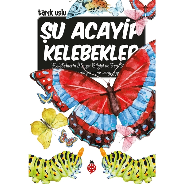 Şu Acayip Kelebekler; Acayip Şeyler Dizisi Tarık Uslu