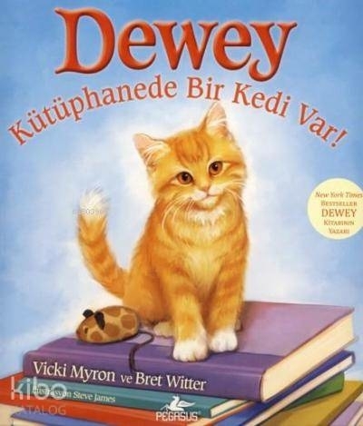 Dewey  Kütüphanede Bir Kedi Var! Yunus Bora Ülke