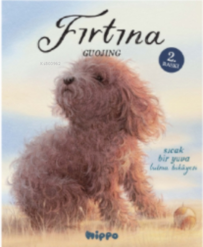 Fırtına Guojing