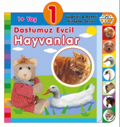 1+ Yaş – Dostumuz Evcil Hayvanlar Olala Books