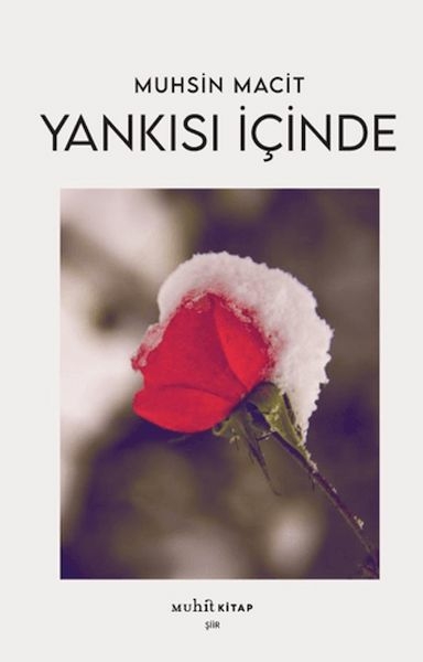 Yankısı İçinde Muhsin Macit