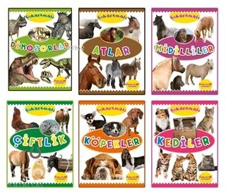 Çıkartmalı Hayvanlar Serisi (6 Kitap Takım) Kolektif