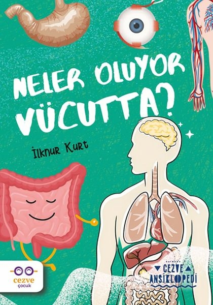 Neler Oluyor Vücutta ? – Cezve Ansiklopedi İlknur Kurt