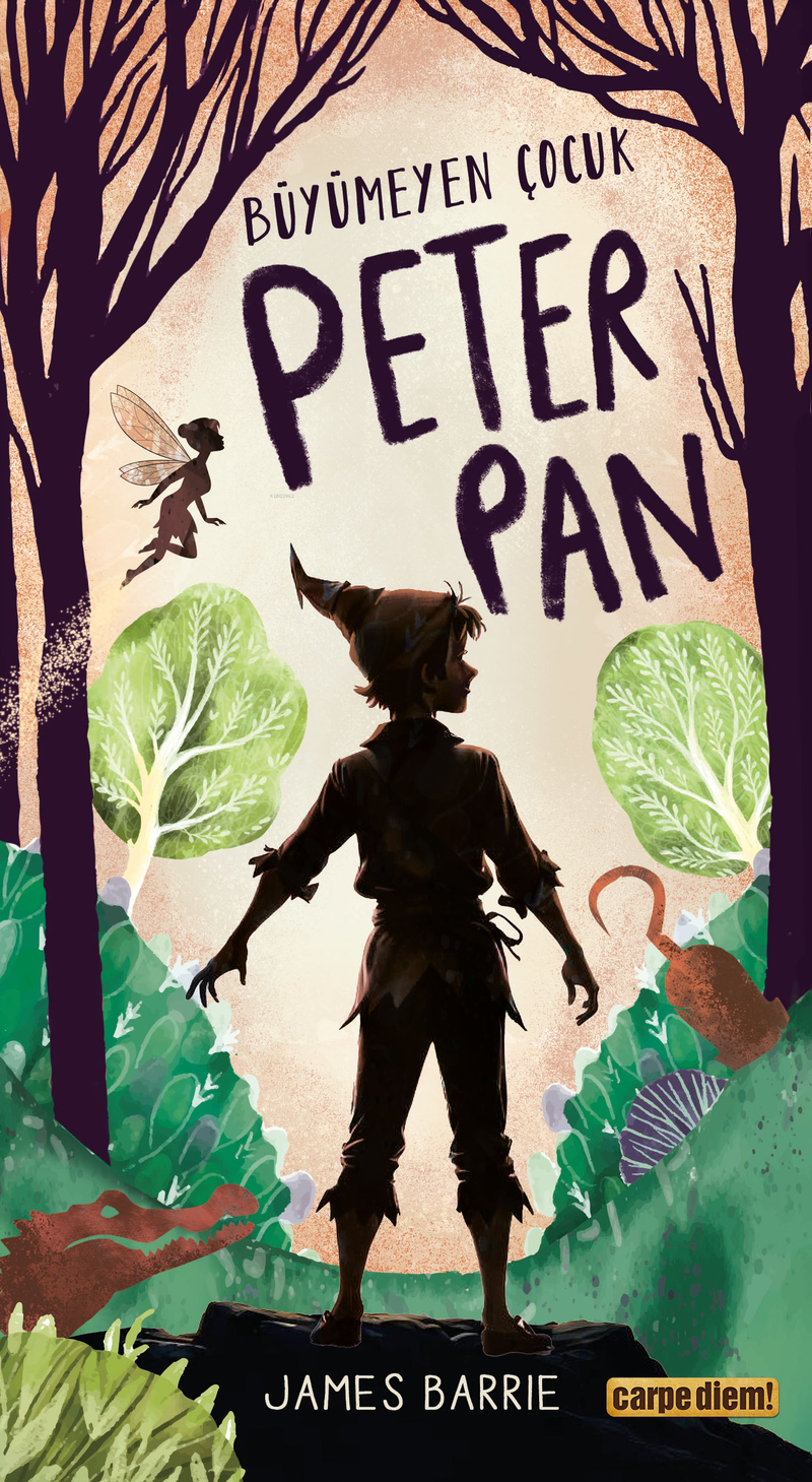 Büyümeyen Çocuk Peter Pan James Barrie