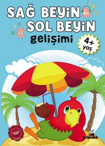 Sağ Beyin-Sol Beyin Gelişimi 4+ Yaş     Kolektif