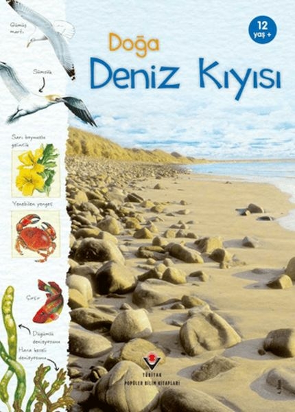 Doğa Deniz Kıyısı Conrad Mason , Sarah Courtauld