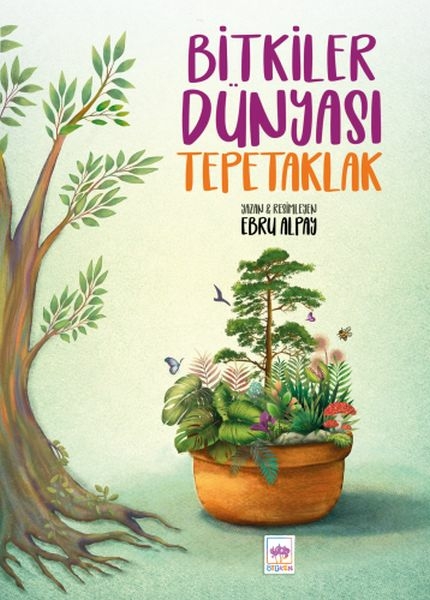 Bitkiler Dünyası Tepetaklak Ebru Alpay