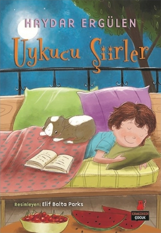 Uykucu Şiirler Haydar Ergülen