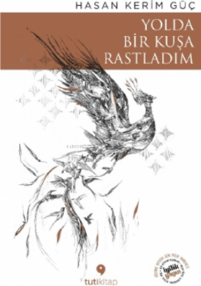 Yolda Bir Kuşa Rastladım Hasan Kerim Güç