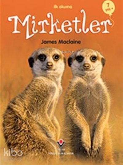 İlk Okuma - Mirketler James Maclaine