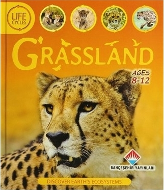 Life Cycles - Grassland (8-12 Ages) Sean Callery