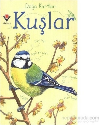 Doğa Kartları - Kuşlar Emily Bon