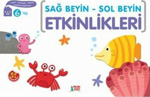 Sağ Beyin - Sol Beyin Etkinlikleri (6 Yaş) Elif Konar