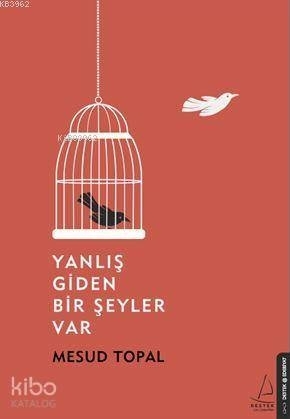 Yanlış Giden Bir Şeyler Var Mesud Topal