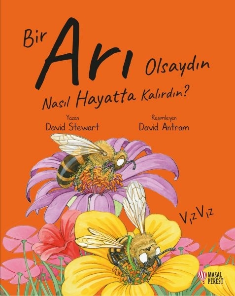 Bir Arı Olsaydın Nasıl Hayatta Kalırdın? David Stewart