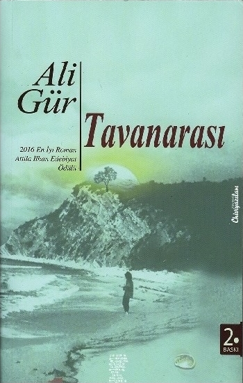 tavanarası - ali gür Ali Gür