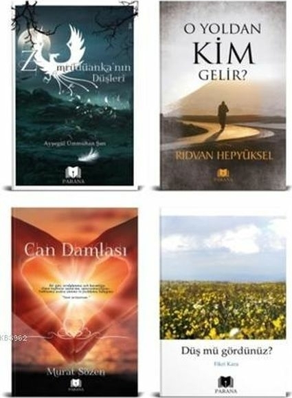 Kampanya Seti 2 (4 Kitap Takım) Ayşegül Ümmühan Şan, Rıdvan Hepyüksel, Murat Sözen, Fikri Kara