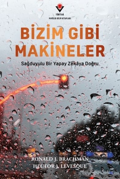 Bizim Gibi Makineler - Sağduyulu Bir Yapay Zekaya Doğru