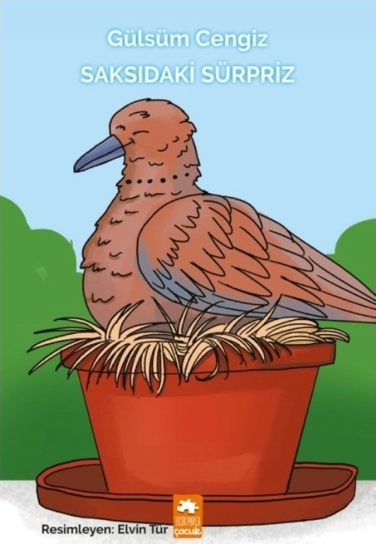 Saksıdaki Sürpriz Gülsüm Cengiz