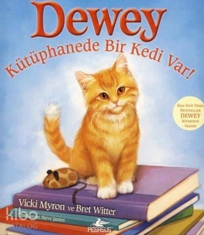 Dewey  Kütüphanede Bir Kedi Var! Yunus Bora Ülke