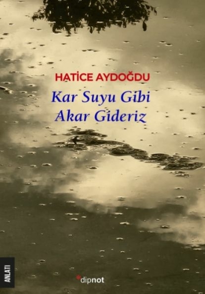 Kar Suyu Gibi Akar Gideriz Hatice Aydoğdu