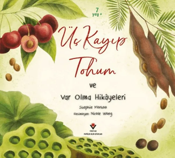 Üç Kayıp Tohum Ve Var Olma Hikayeleri Stephie Morton