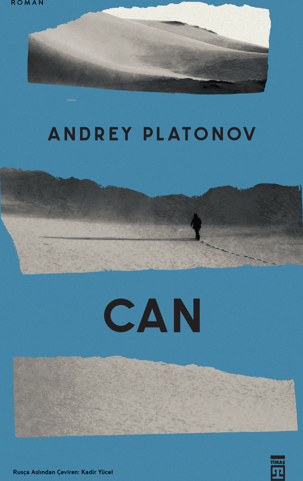 Can Andrey Platonov