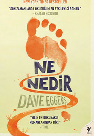 Ne Nedir Dave Eggers